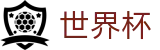 2026FIFA世界杯(FIFA World Cup)官方合作平台